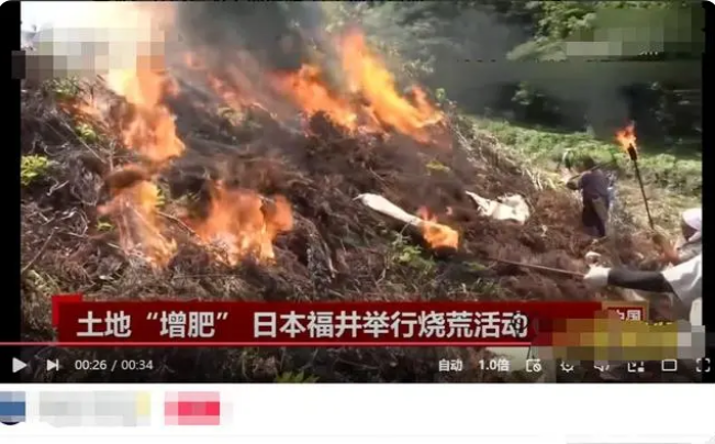 日本烧荒为土地增肥，还特意加大火势，网友：央视你有脸报道？
